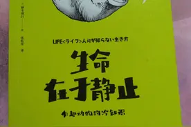 动物给人类的启示录图片
