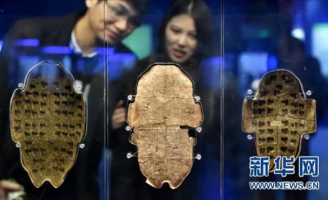 甲骨文毕业生自嘲“最冷专业”，为何走红？