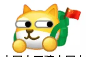 猫咪掉了的解决办法图片