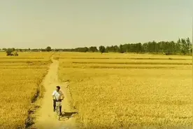 麦收防火不可放松，您有一份麦收消防安全提示，别忘查收！图片