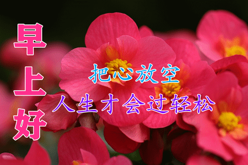 想念一个人的短句,深情动人,简短暖心