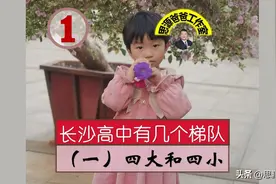 长沙高中分为8个梯队，四大、五小、三梅、二雅、一滨江图片