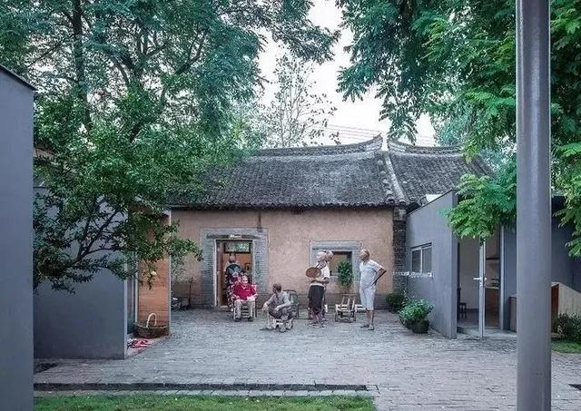 经常梦见童年老家院子里的杏树开花了！可能我对杏树情有独钟吧