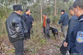 真实版汪汪队立大功！搜救犬20分钟找到山里走丢老人！图片
