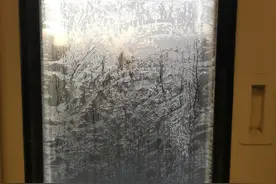 火车奇遇记图片