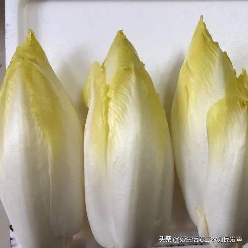 Ͷ�ʲ�������ʮ�����ϵ�ũ�崴ҵ��Ŀ����Щ��