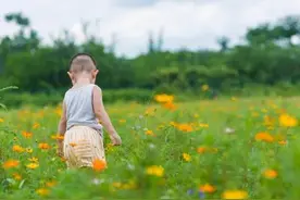 大脑为啥要删除 3 岁前的记忆？你小时候到底看见了啥？图片