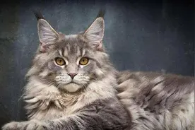 科学家是如何发现存在四维空间的？图片