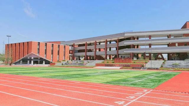 除了“五朵金花”，成都各个区还有哪些公办小学值得考察