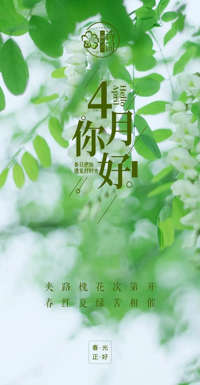芳菲的四月如诗的心语(美文美图四月愿一路繁花相伴) - 桓桂百科号