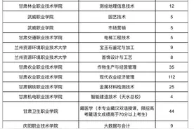 2023年甘肃省高等职业教育分类考试招生单考单招征集志愿公告图片