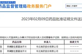 80亿降压药，华北制药拿下国采入场券图片