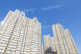 契税滞纳金最多是多少?契税可以延迟几年交吗?图片