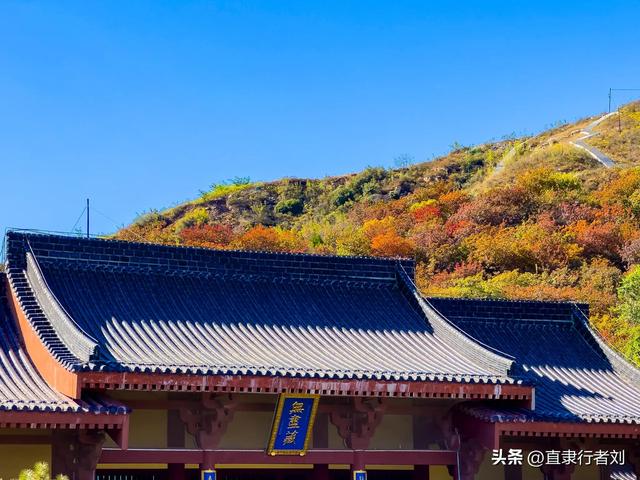 保定赏秋第一弹——徐水兜率寺红叶已至，顺便吃了第一次斋饭原创