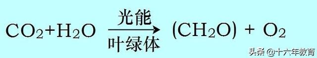 高中生物重要生化知识图解记忆（建议收藏）