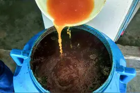 淘米水肥制作新方法来了，用这三种原液，7天发酵完成图片