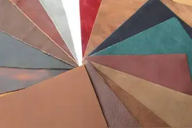 如何区分真皮？全网最全真假皮鉴别攻略送上图片