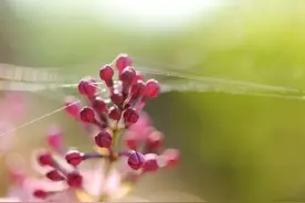 一个人最明白的活法：管住嘴图片