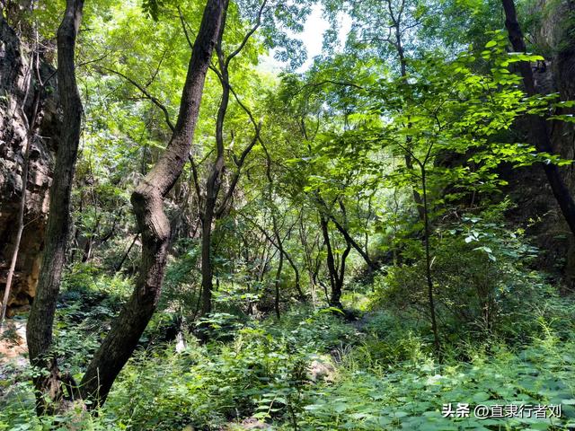 保定有一半是山区，但这座山的风景在我爬过的保定大山能排第二
