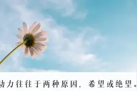 心理健康 | “心理学中最经典的25个定律。” 精辟！图片