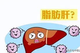 一个中成药，专克脂肪肝，肝脾同调，祛湿清热，化浊降脂图片