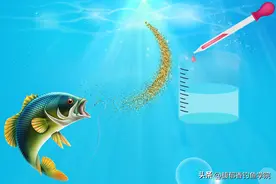 钓鱼死窝很可能是这4种物质导致的，后两种是鸡肋，钓鱼效果为零图片