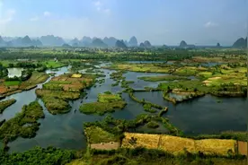 桂林会仙湿地入选国际重要湿地名录图片