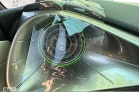 聚焦｜比亚迪回应海豚“喷粉”：粉末为氢氧化铝，对身体无害图片