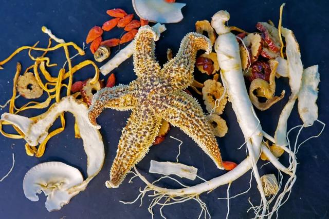 牛鞭花胶汤的做法大全 2026年牛鞭花胶汤的做法大全视频 牛鞭花胶汤的做法大全 2026年牛鞭花胶汤的做法大全视频