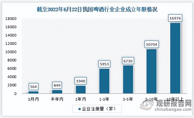 中国啤酒行业竞争现状调研与发展战略分析报告(2022-2029年)