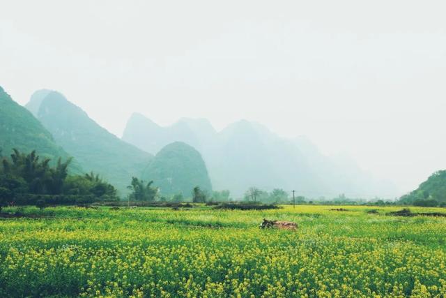 描写乡村田园风光的诗句（9首必读山水田园诗）