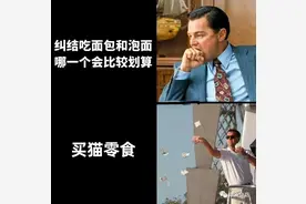 “铲屎官真实生活图鉴！”哈哈哈哈快把监控拆了图片