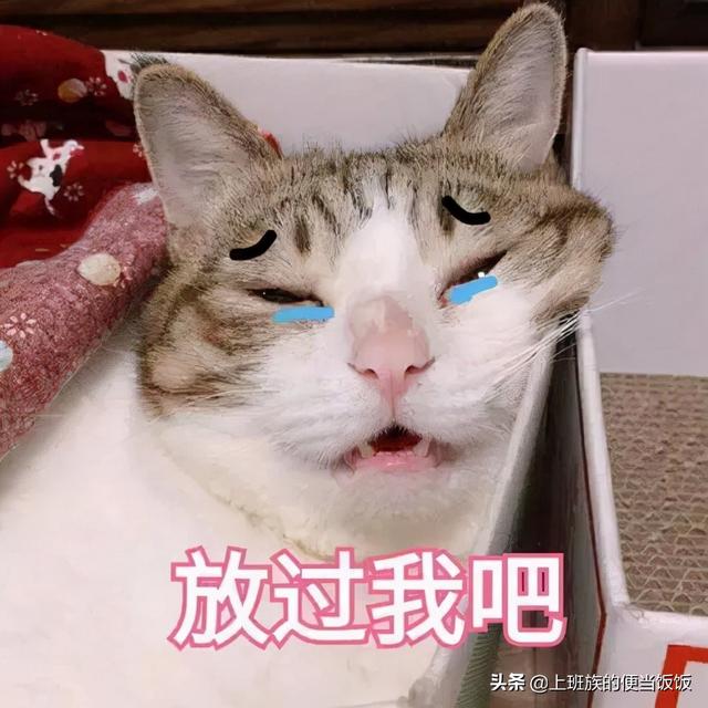 烧烤不用出去吃，在家自制无烟版，馋哭了