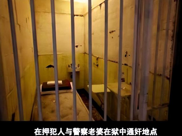 服刑期间7名情人陪睡，警察妻子也参与其中，王东究竟有何魅力？