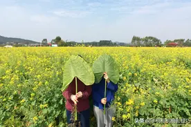 摄影后期有多重要？普通照片秒变“海报”图片