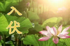 伏天喝茶有讲究，建议50岁之后，牢记“2喝2不喝”，喝对好处多图片