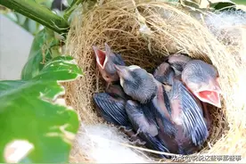 往事不堪回首，如今二十年过去了，我依然难以释怀图片