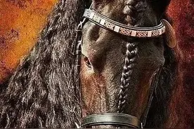 世界35种奇马欣赏图片