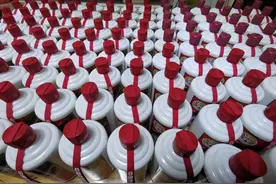 抓获9人，案值600余万元！吉林市警方打掉跨省销售假酒犯罪团伙图片