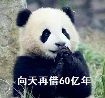 没有结局的《黄金矿工》，被B站网友玩出花