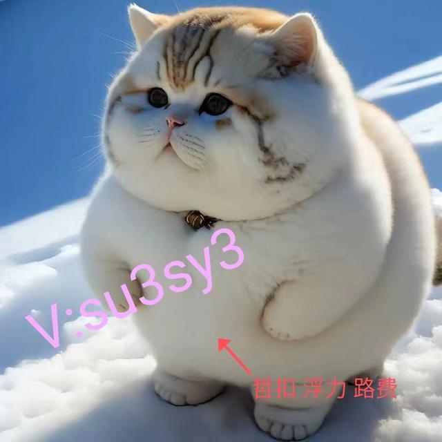 烈焰皇朝赏金传奇暗黑先锋雷霆传说远古禁地攻略三端互通下载辅助