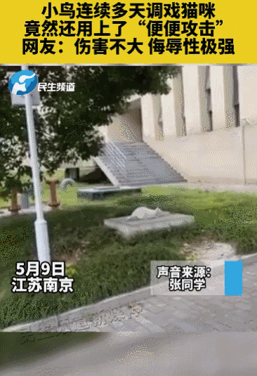 买到一盒肯德基猫爪蛋挞,我当场气死