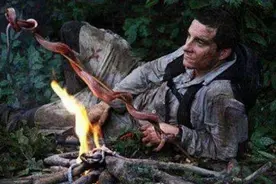 “站在食物链顶端”的贝爷，6年前爆红全球，如今为何不见了？图片