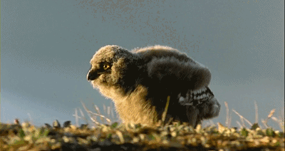 暑期强烈推荐！5部高分纪录片，知识点满满，一定要带孩子看
