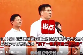 “买了三套买四套”湖南县领导号召买房，安徽一地倡议公职人员发动亲友购房图片