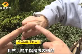 长沙女业主被楼下邻居殴打？还关电闸、撬门锁被迫租房住…这咋回事？图片