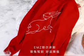 新年必备毛衣，EMZ鄂尔多斯带你遇见萌兔，一路“兔”飞猛进图片