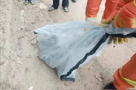 深圳现2米巨蛇蜕皮，看似气息微弱，为何人们却说是危险将至？图片