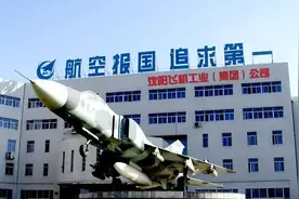 2架歼16现身海参崴，俄飞行员体验后，才知两国战机差距有多大图片