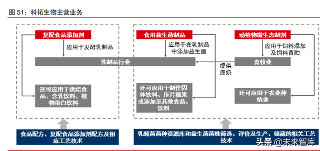 合成生物行业深度报告：合成生物学蓬勃发展，市场空间广阔